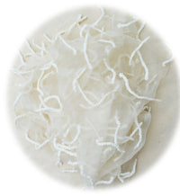 White stole organza
